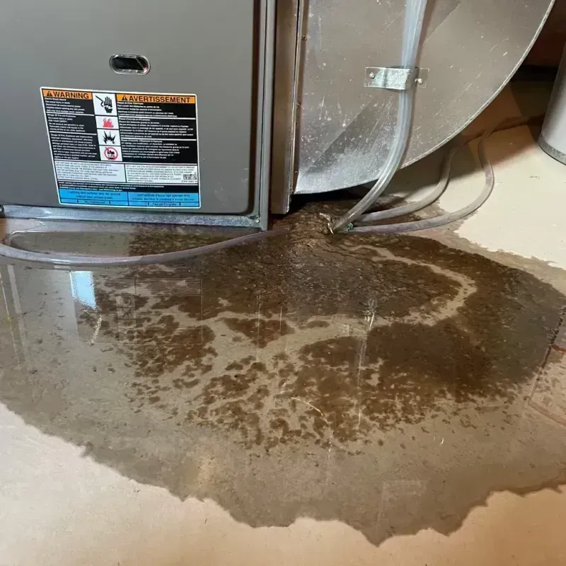 Appliance Leak Cleanup in Hanna City, IL